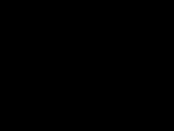 pappaleghtx
