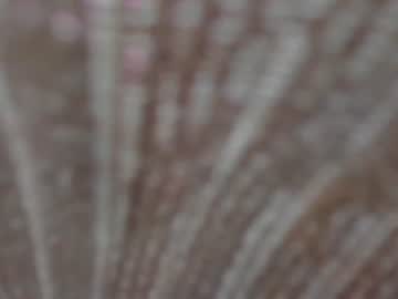 sashaa_sex