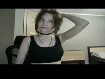 swet_kitten