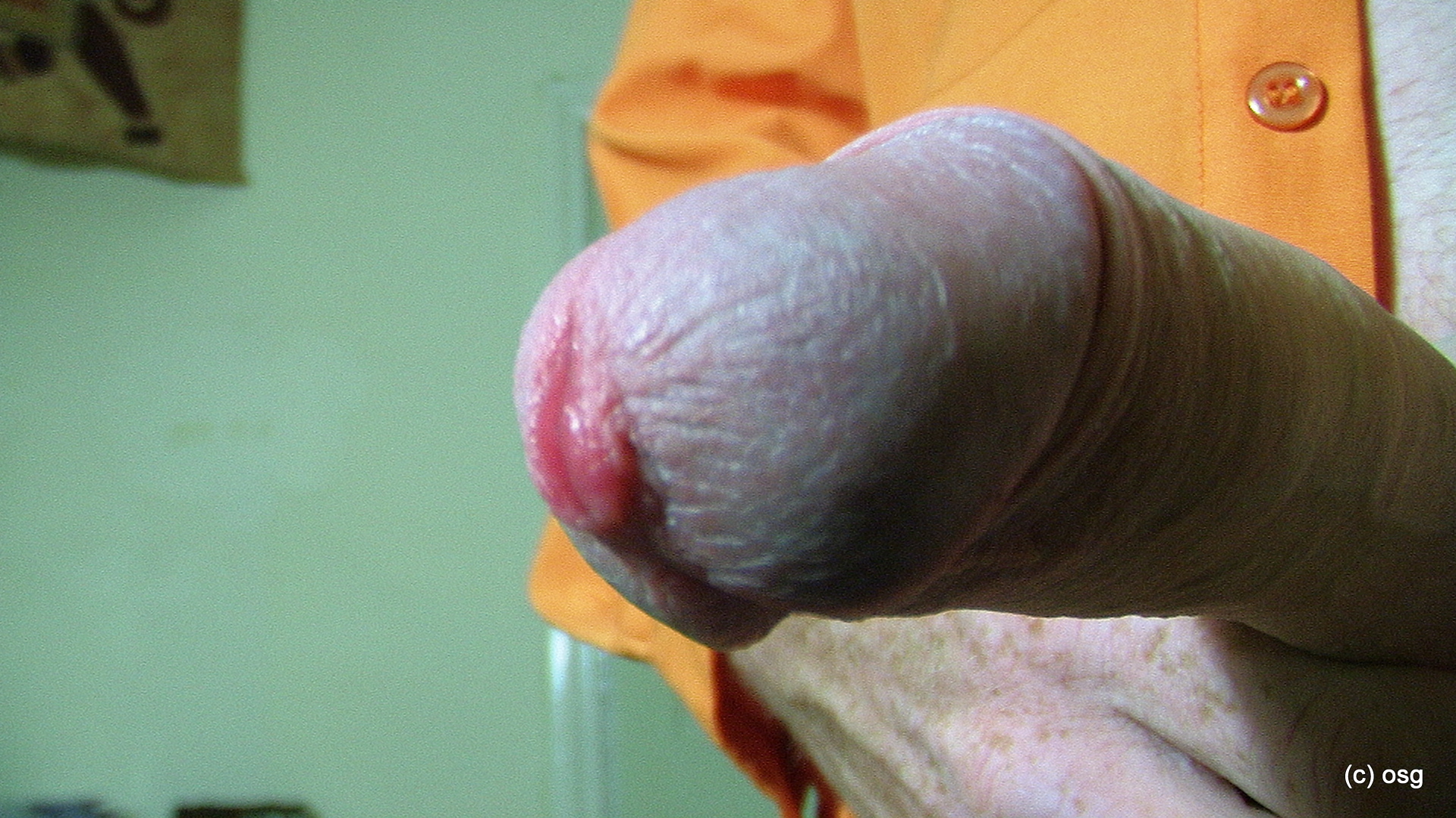 do you like my shirt — 9