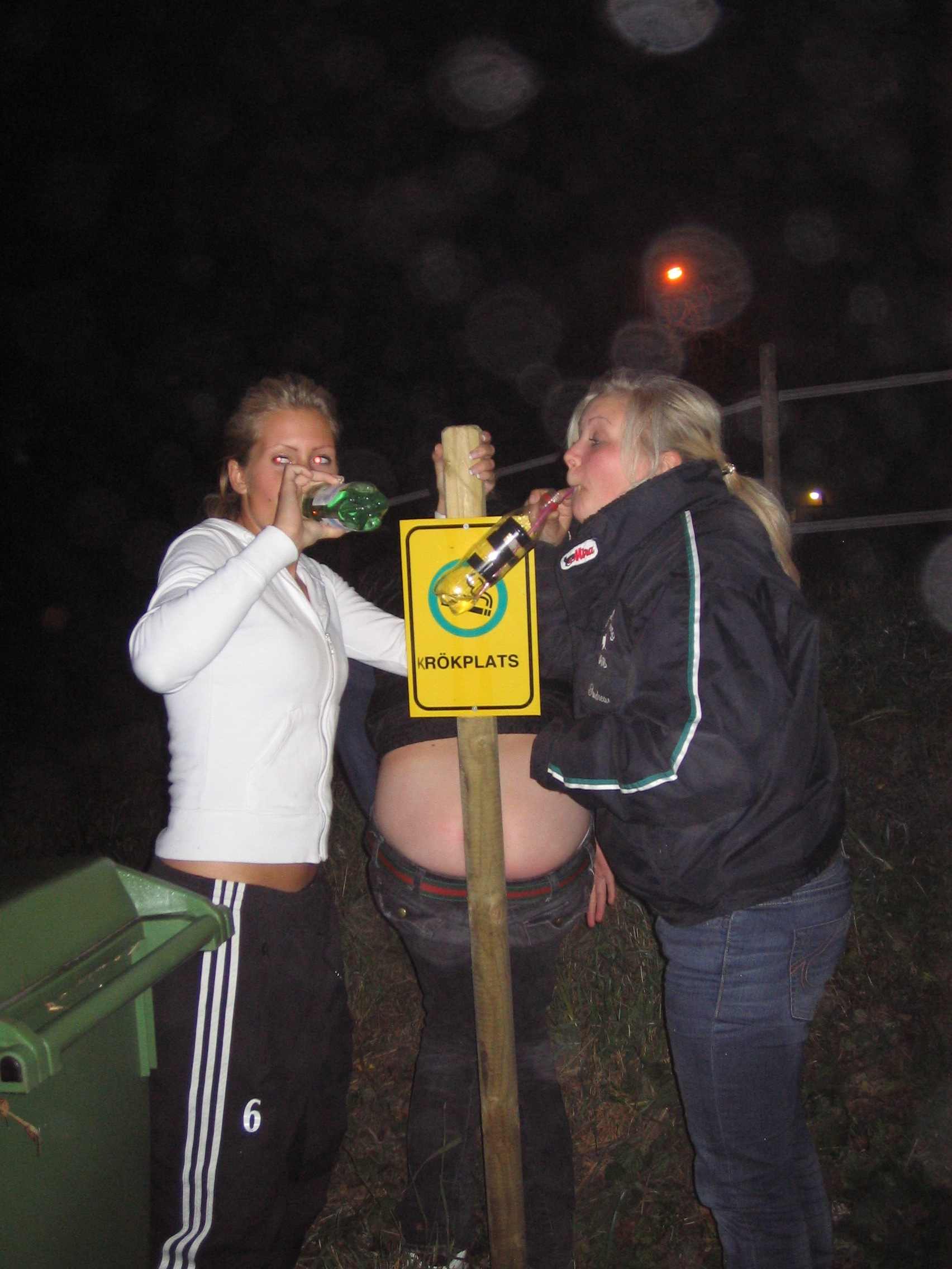 Swedish party babes VII — 35